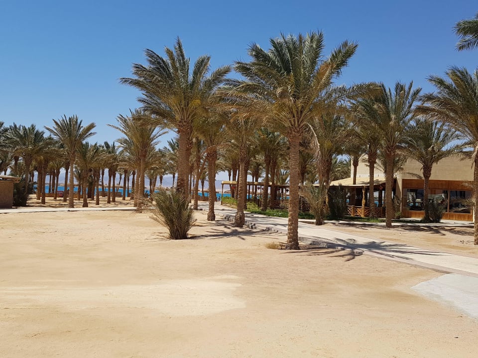 Weg zur Landzunge Palm Royale Resort - Soma Bay