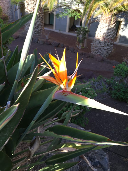 Garten R2 Rio Calma Hotel & Spa & Conference