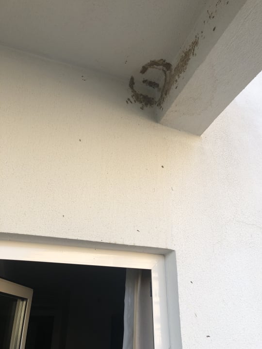 Zimmer Seaden Sea World Resort & Spa