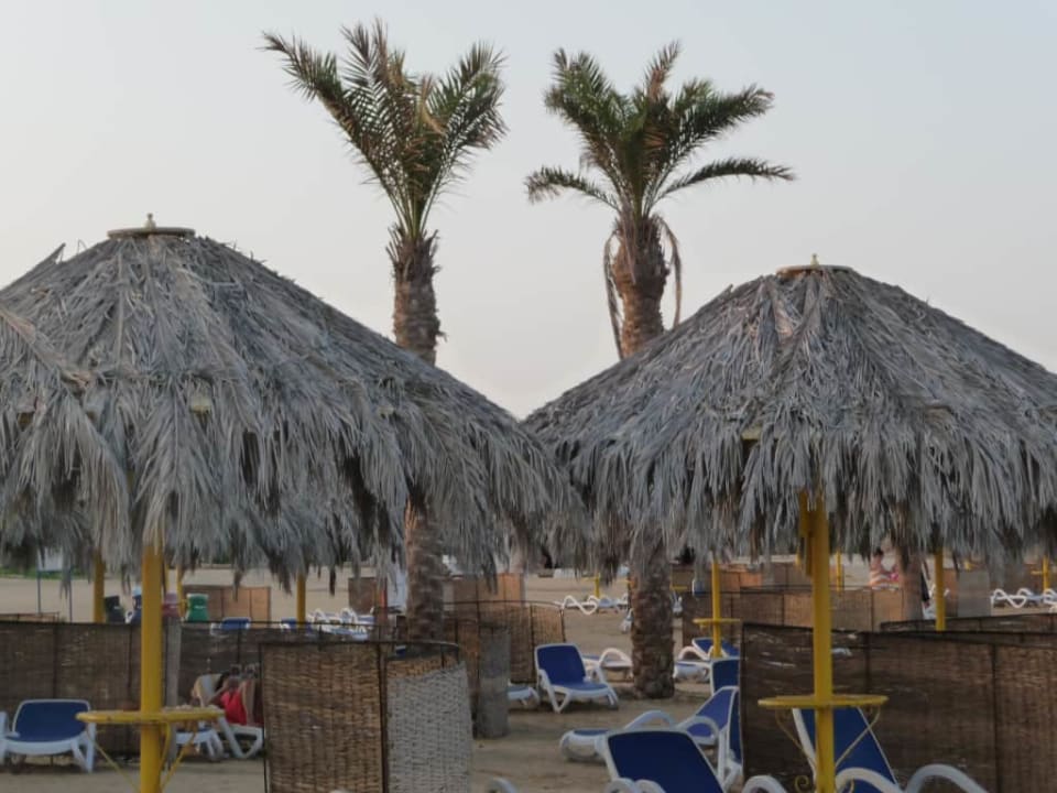 Leżaki i parasole Hilton Marsa Alam Nubian Resort