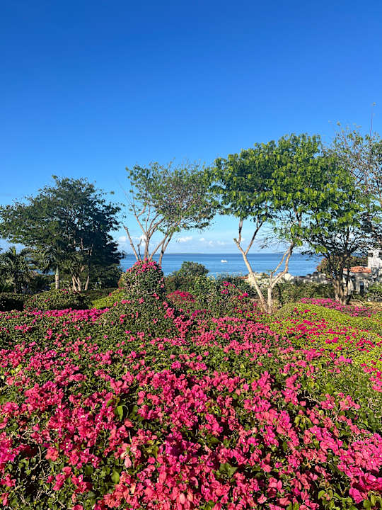 Außenansicht Hotel Riu Palace Zanzibar