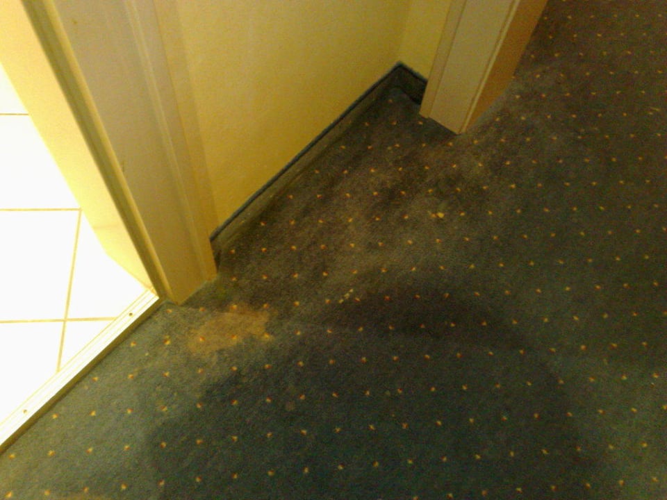 Teppichboden Mimosa Hotel Sylt