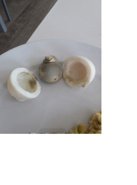 Gastro Eurostars Queen of Montenegro