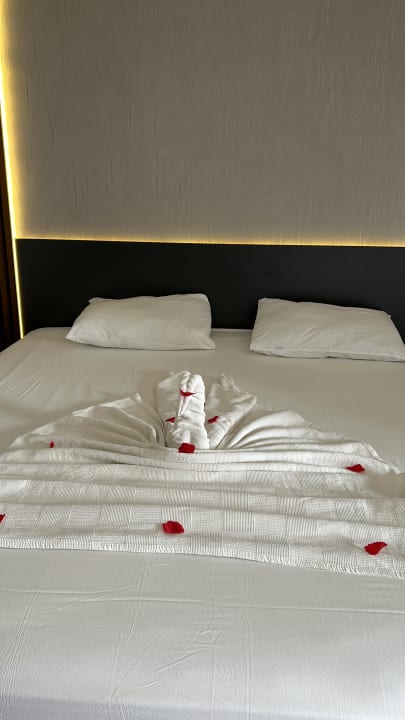 Zimmer Adora Calma Beach Hotel