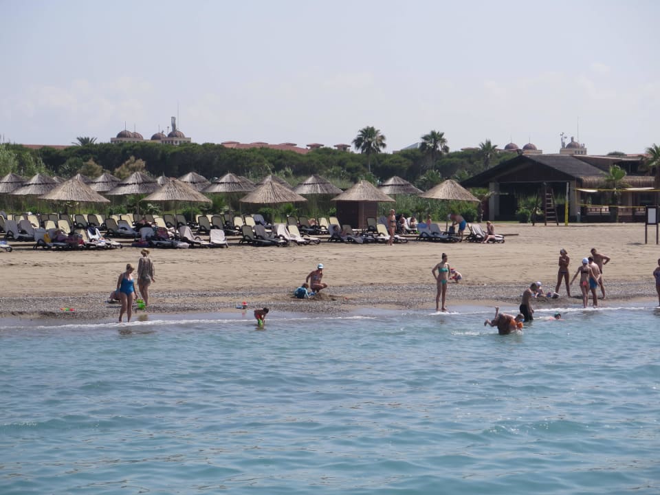 Blick auf den Strand Gloria Serenity Resort