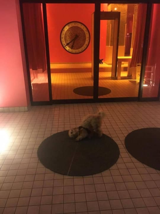 Eingang The Marmara Antalya Hotel