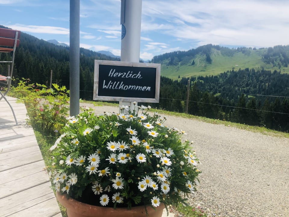 Sonstiges Barbaras Landhaus & Barbaras Ferienwohnung Vermittlung