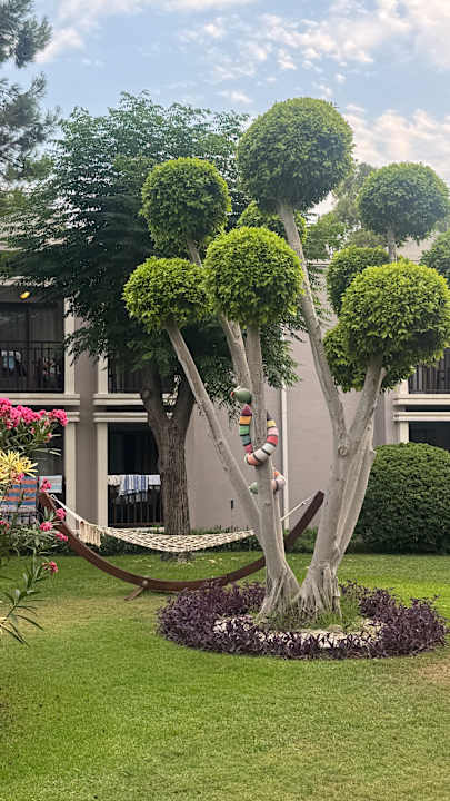 Gartenanlage TUI Magic Life Belek