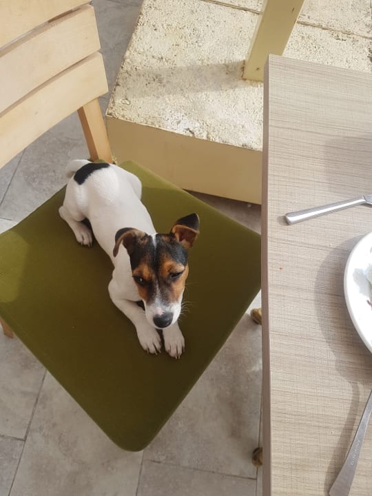 Sonstiges Greenlife Hotel