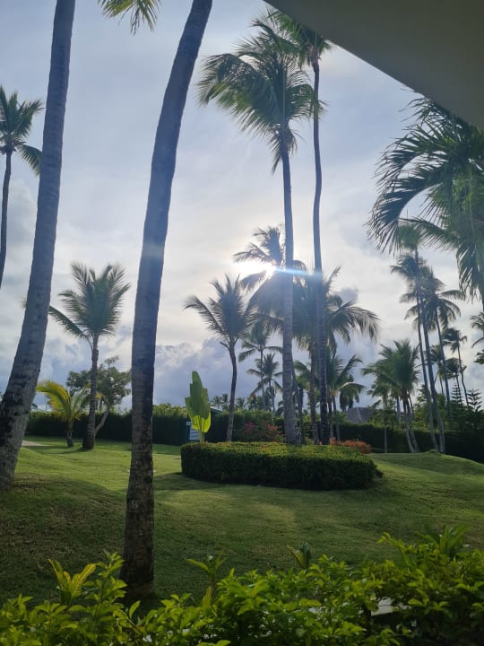 Ausblick Meliá Punta Cana Beach Resort - A Wellness Inclusive For Adults Only