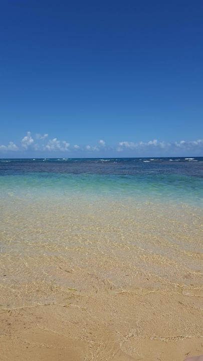 Klares Wasser Bahia Principe Grand El Portillo