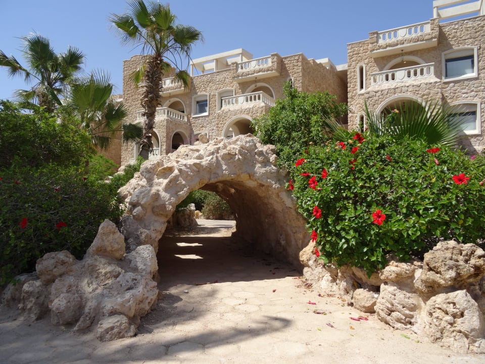 Mit Fantasie angelegt Pickalbatros Citadel Resort