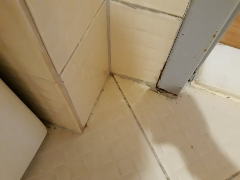 Zimmer Starlight Resort Hotel