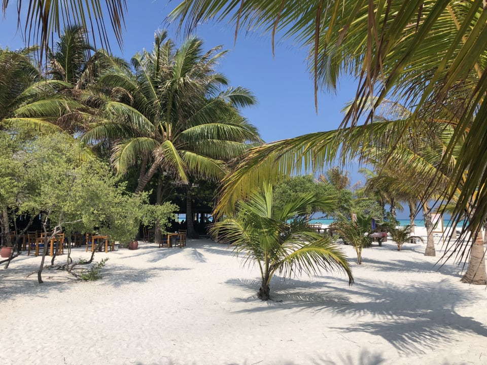 Strand Meeru Maldives Resort Island