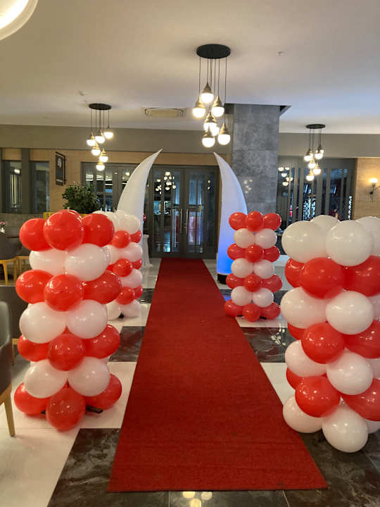 Gastro Seashell Vega