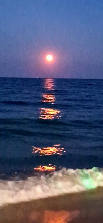 Strand GRIFID Aqua Club Bolero