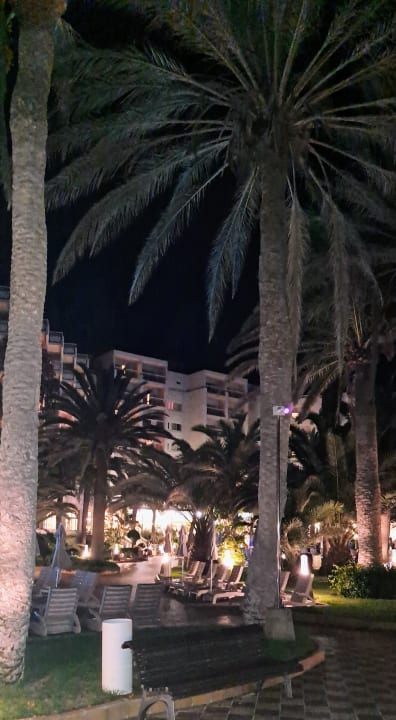Gartenanlage Hotel Riu Palace Tres Islas