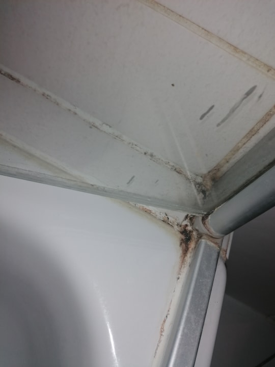 Zimmer Ferienwohnungen Ferienpark Weissenhäuser Strand