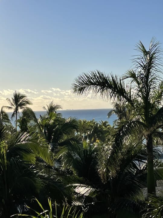 Ausblick Hotel Riu Playacar