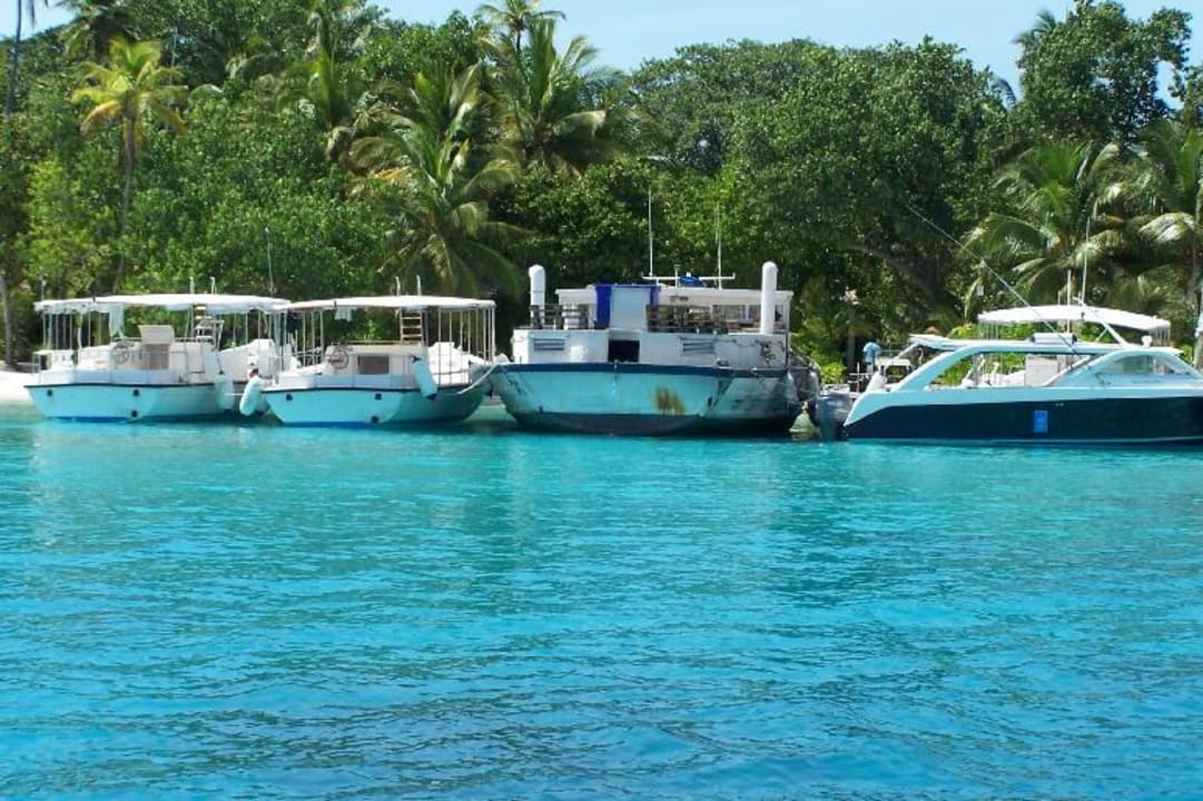 Ankunft am Anleger Kuramathi Maldives