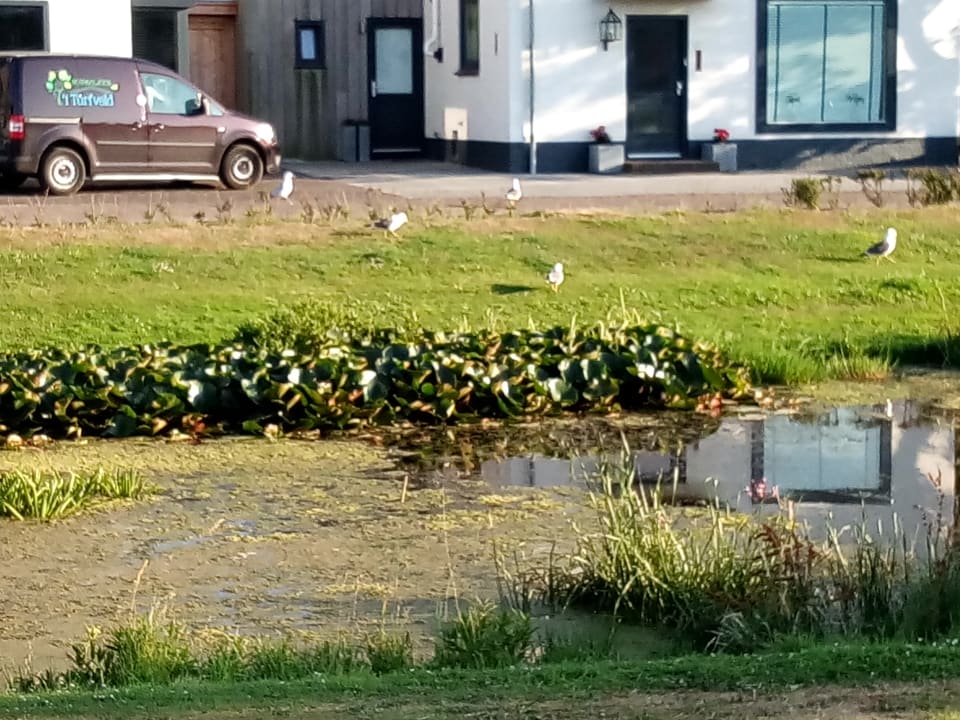 Sonstiges Pension Brinkvis