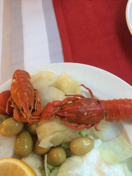 Gastro Well Palace Side