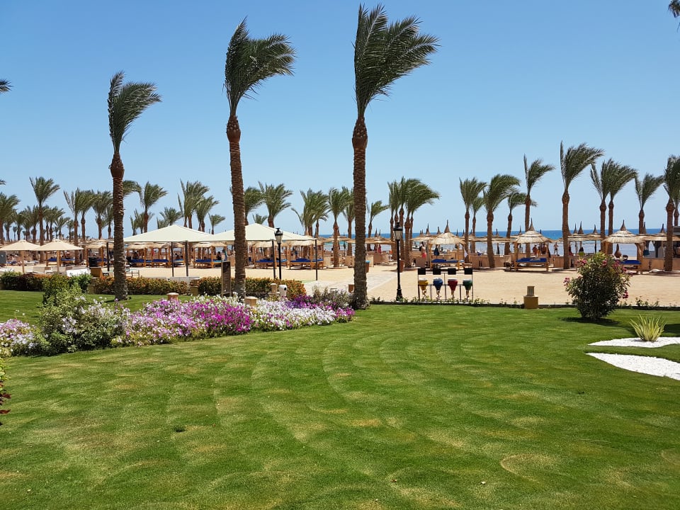 Gartenanlage Pickalbatros Palace Resort