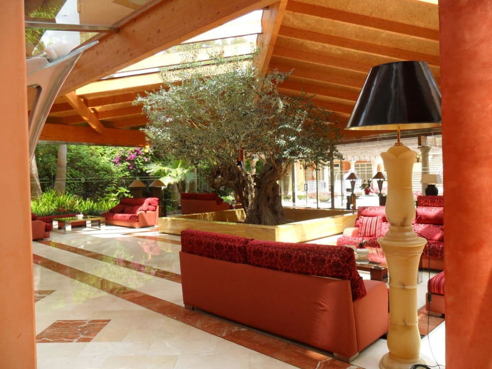 Lobby mit wunderschönen Olivenbaum allsun Hotel Cormoran
