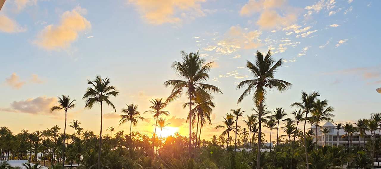 Ausblick Hotel Riu Palace Macao - Adults only