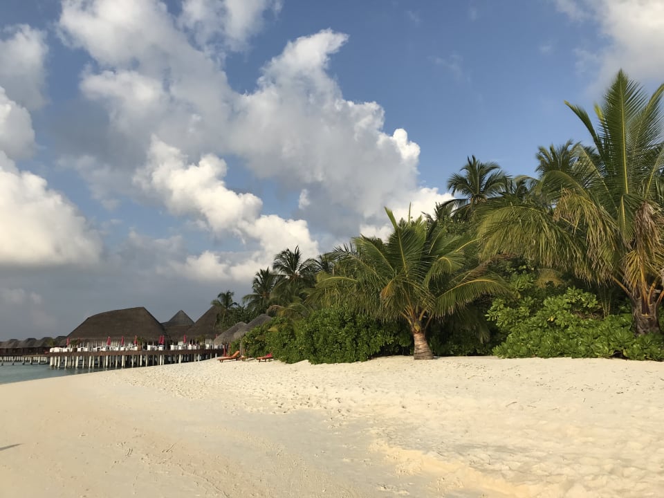 Strand Sun Siyam Vilu Reef