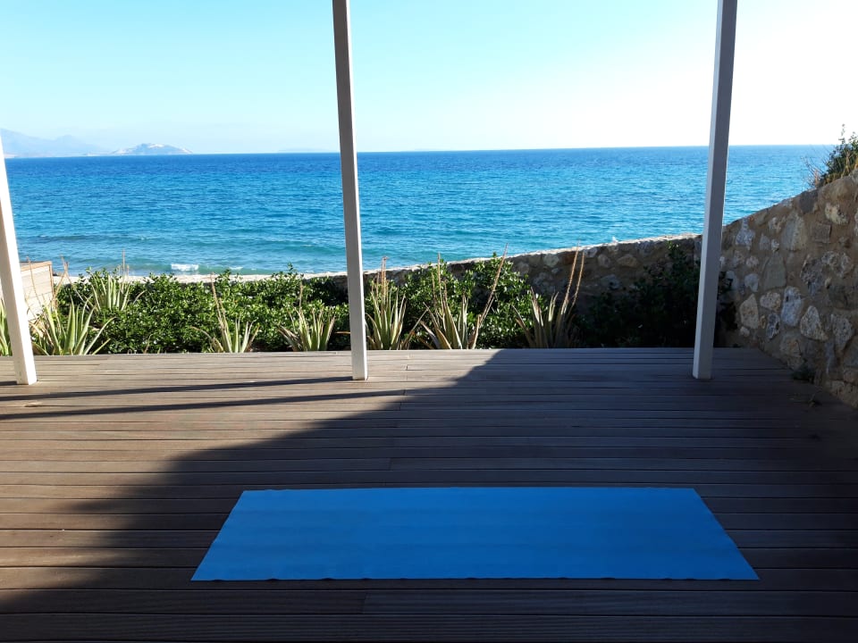 Ausblick ROBINSON DAIDALOS