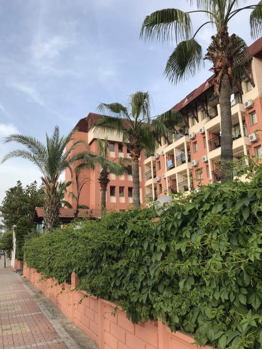 Außenansicht Palmeras Beach Hotel