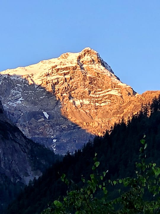 Ausblick Alpenhotel Zimba