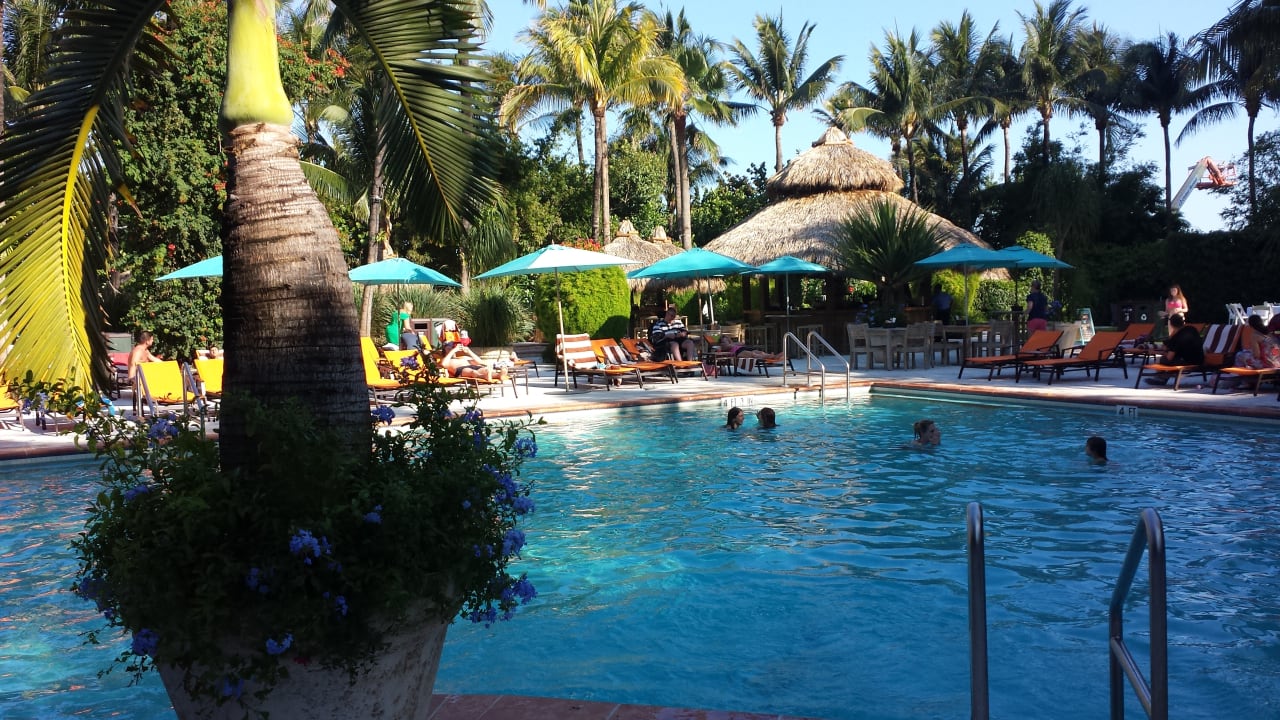 Pool The Palms Hotel & Spa
