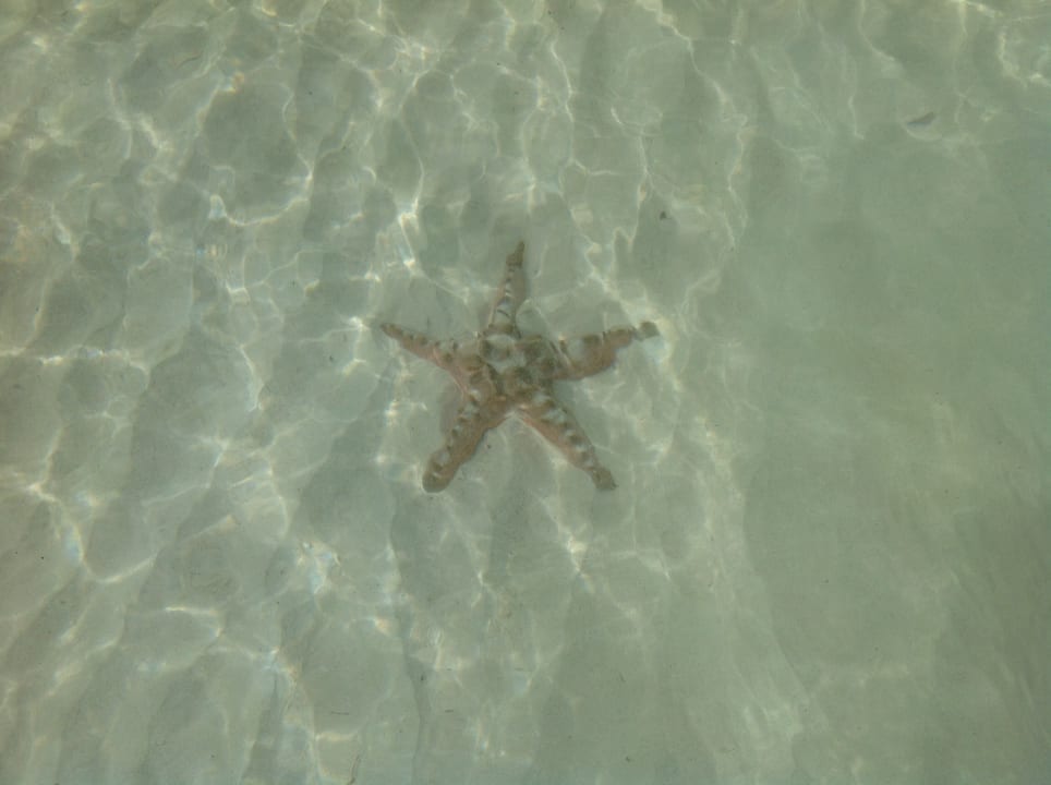 Strand Henann Resort