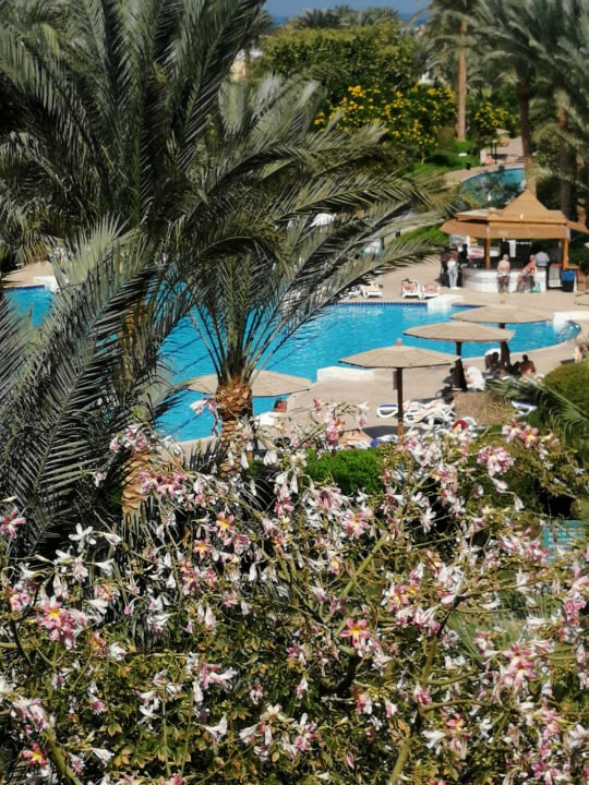 Pool Golden Beach Resort