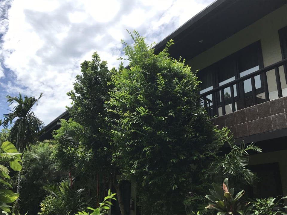 Außenansicht Lokal Phuket