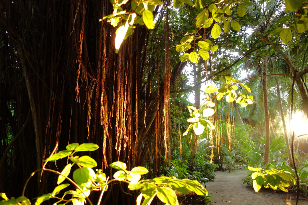 Morgensonne Adaaran Select Meedhupparu Island Resort - Premium All Inclusive