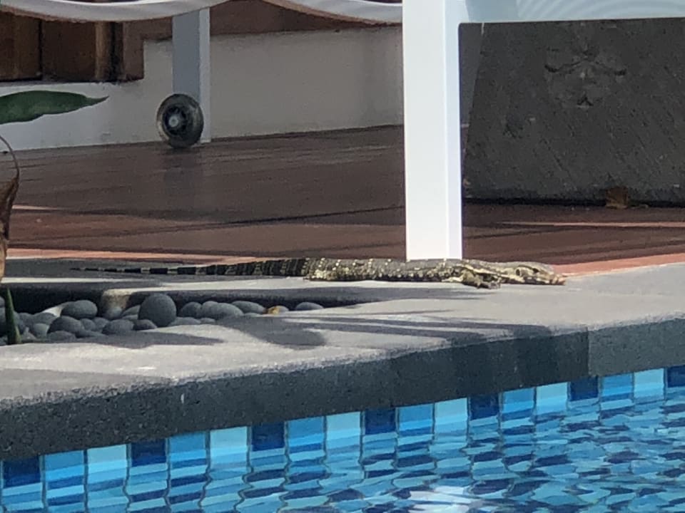 Pool Paradisus by Melia Bali