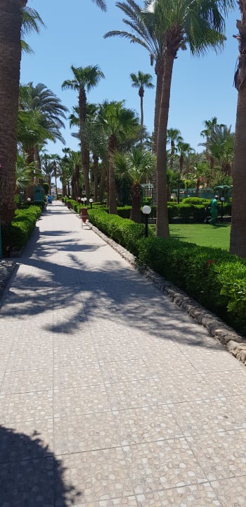 Gartenanlage Giftun Azur Resort