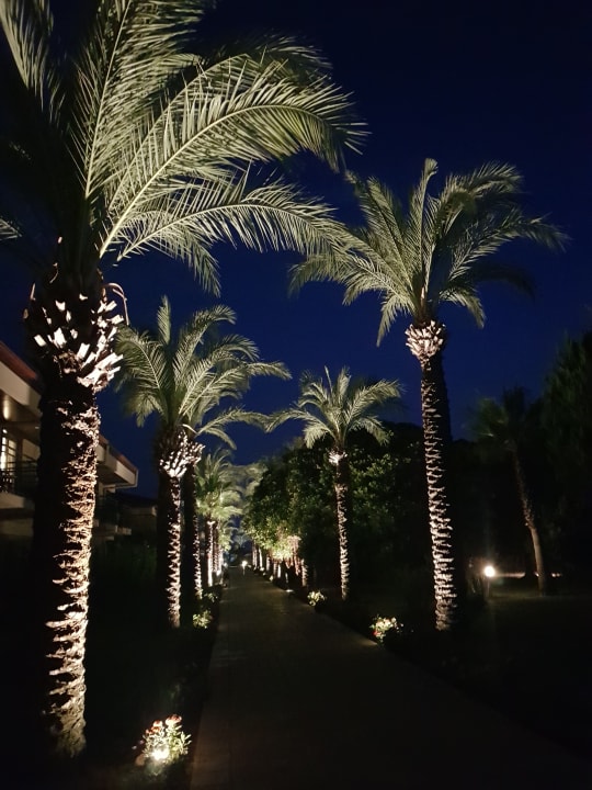Gartenanlage TUI BLUE Palm Garden