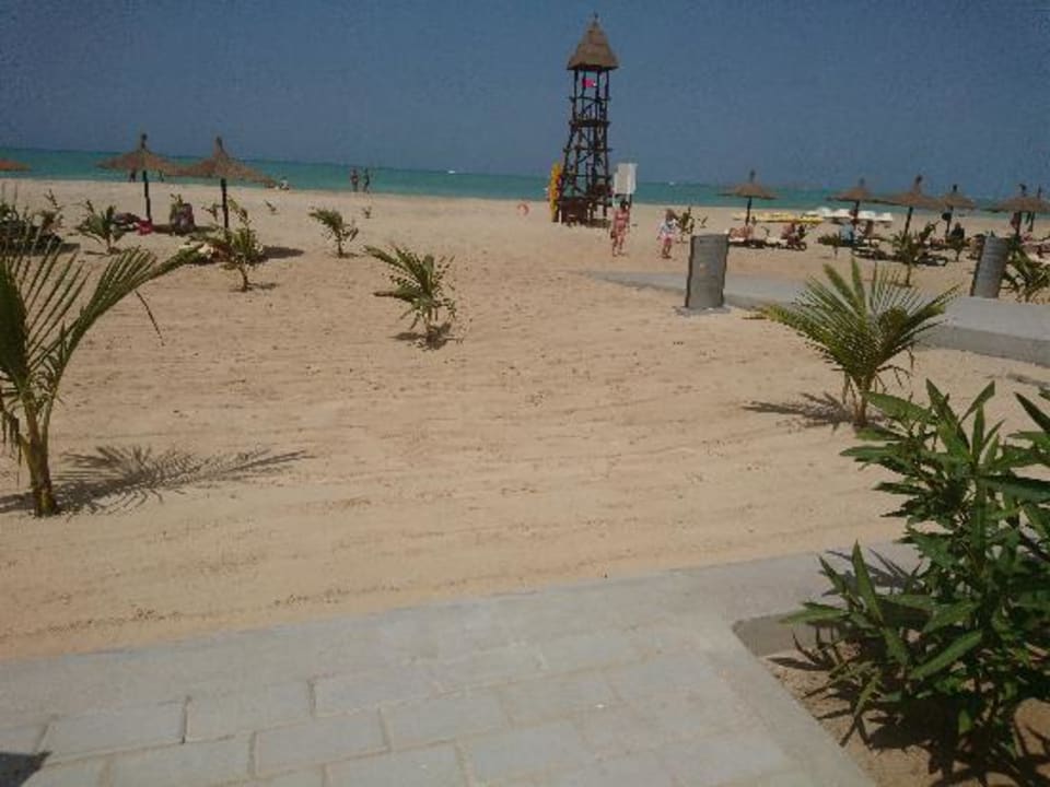 Ausblick Hotel Riu Palace Boavista