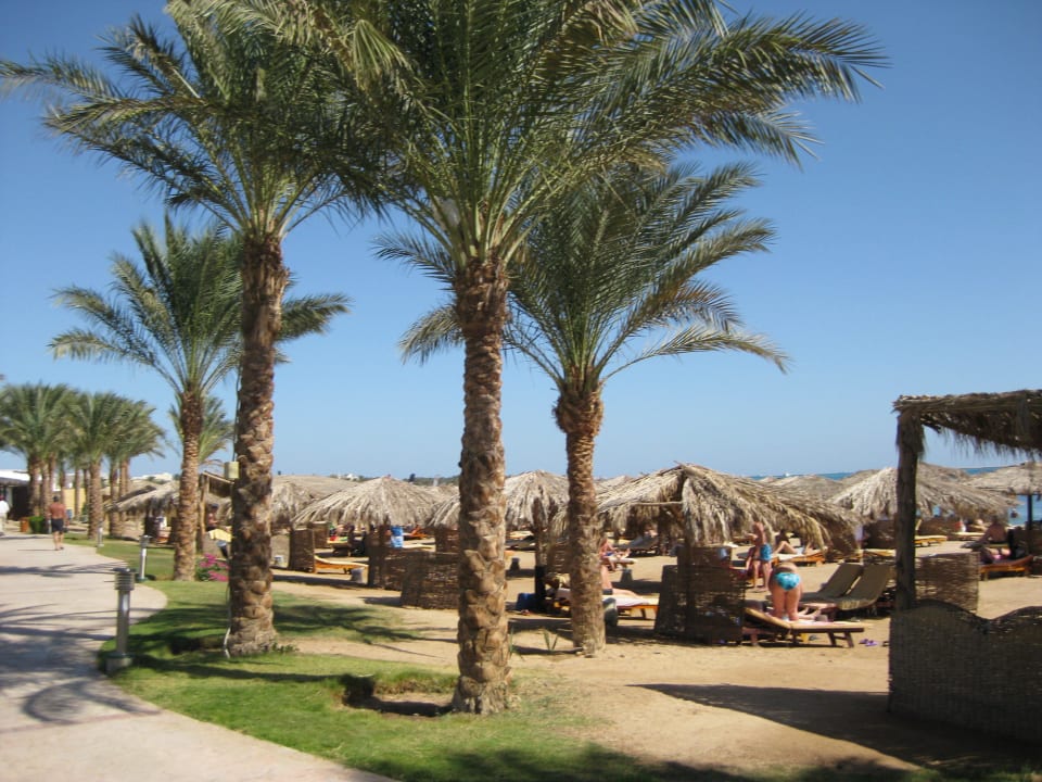 Ungefähr die Hälfte zu sehen Sentido Caribbean World Soma Bay