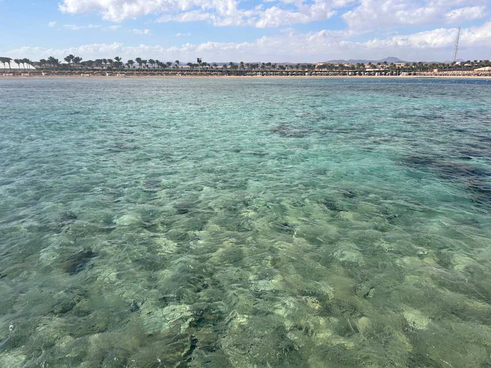 Strand Steigenberger Coraya Beach - Adults only