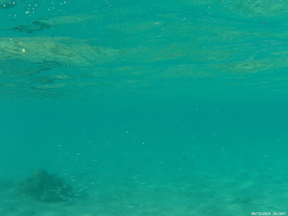 Strand The V Luxury Resort Sahl Hasheesh