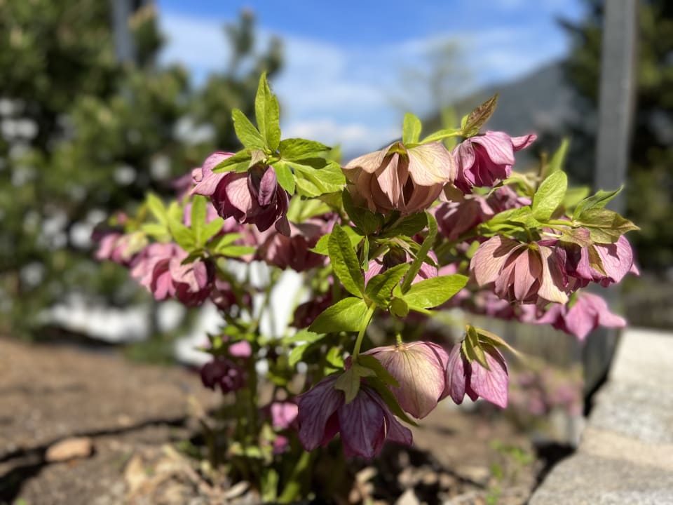 Sonstiges Das Kaltenbach Aparthotel