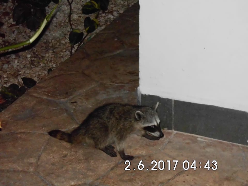 Sonstiges BlueBay Grand Esmeralda