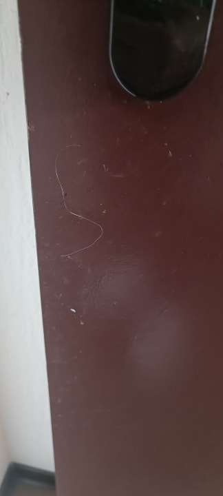 Zimmer Queen's Park Hotel