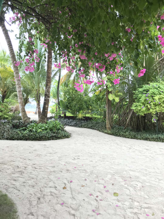 Sonstiges Kuramathi Maldives