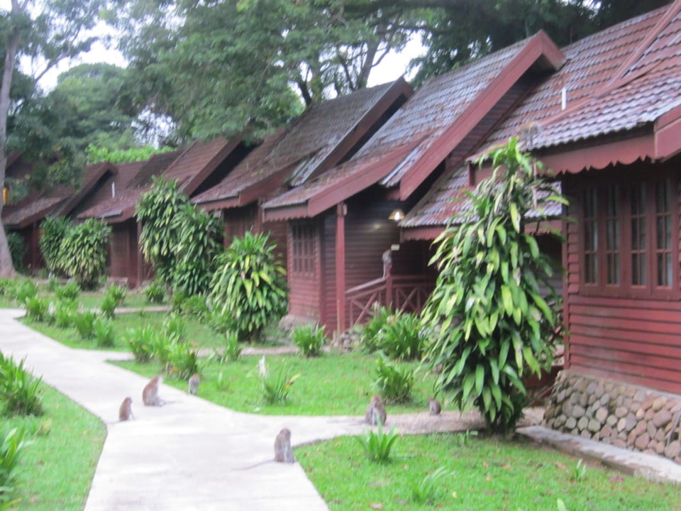 Außenansicht Hotel Mutiara Taman Negara Resort